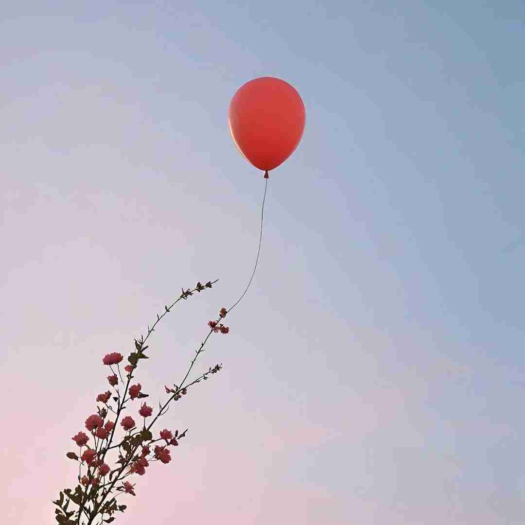 قلبم از حسرت پره رفتم روی برفای جنگل دراز کشیدم