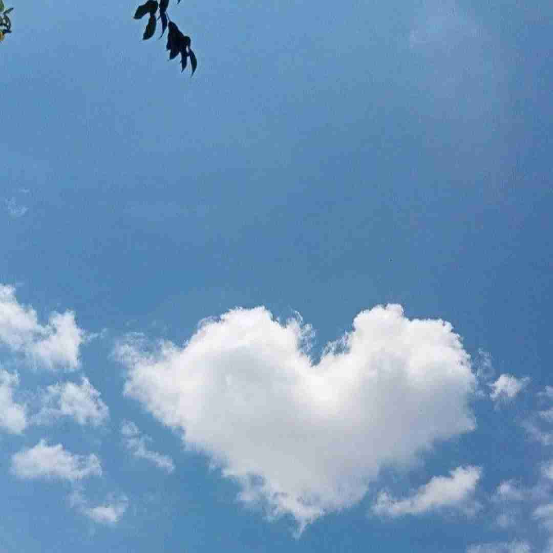 فاطمه رحمانی دلبر