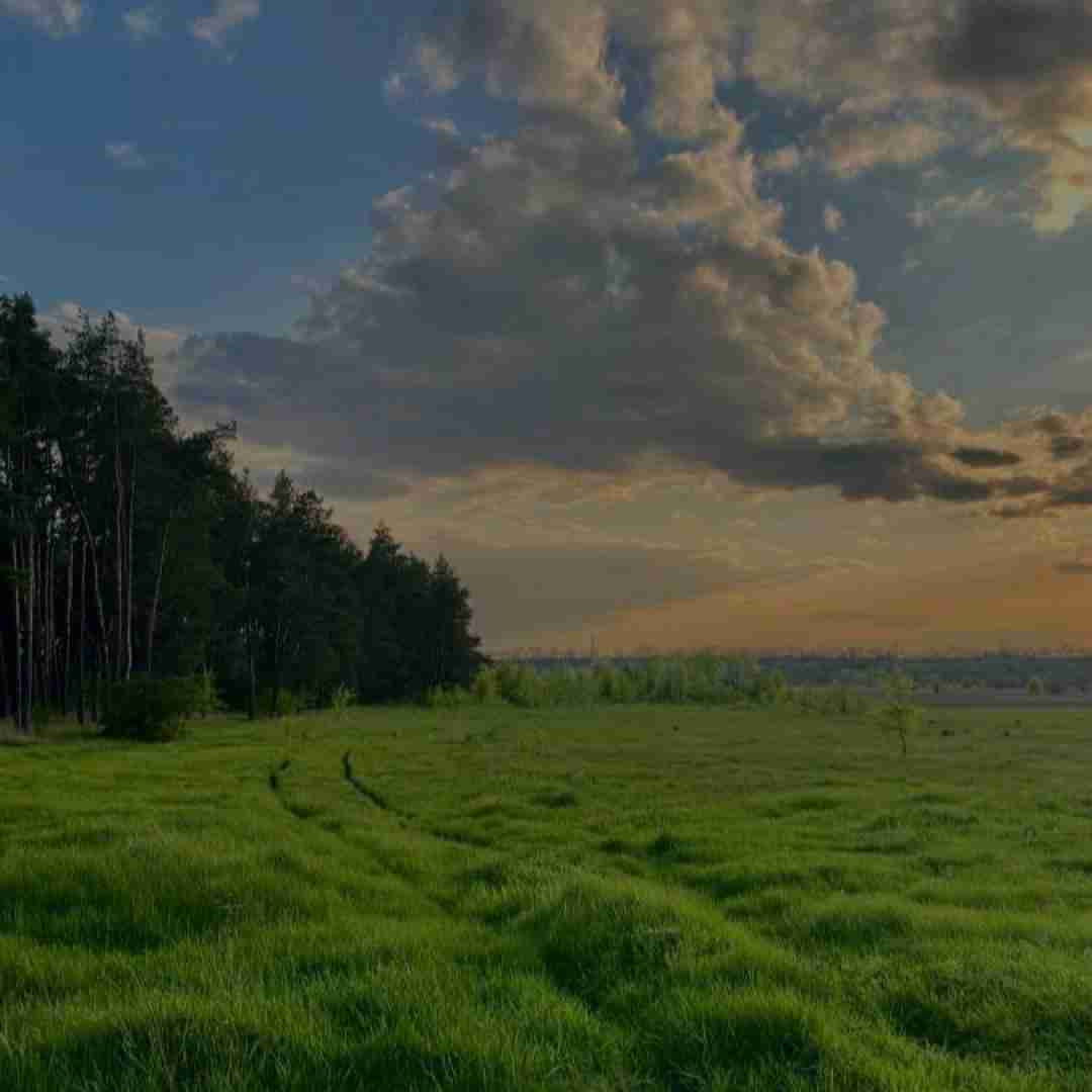 وای دل چه خونه از این کار زمونه با صدای زن