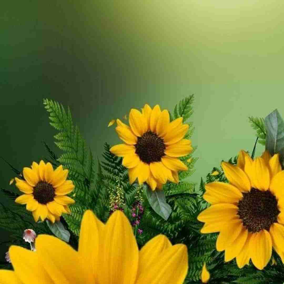 عشقم این روزا هوای تو هوامو بد کرده با صدای دختر