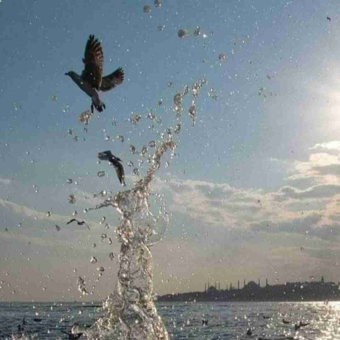 پس چرا وضع ما اینه پسره هنوز تو کف ماشینه