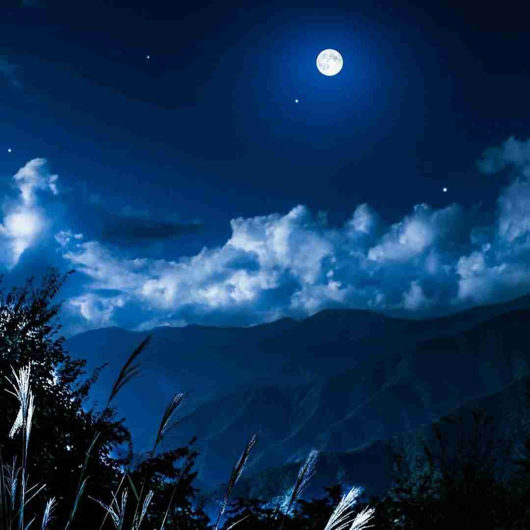  گمت کردم روی مبل 9 صبح چقد حرف با صدای دختر