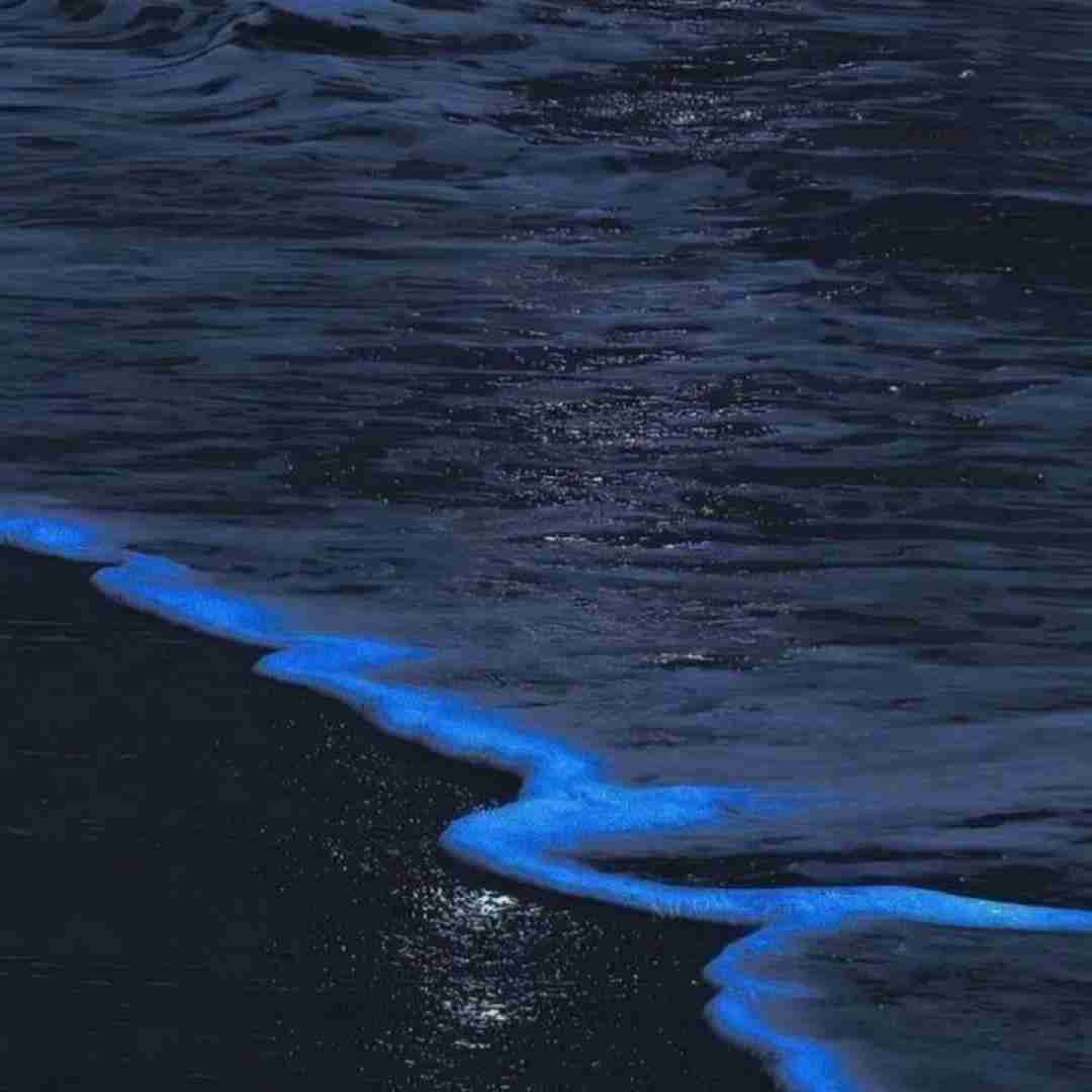 همو یادمون رفته خیلی وقته آسمون بدون بیبیم ابره