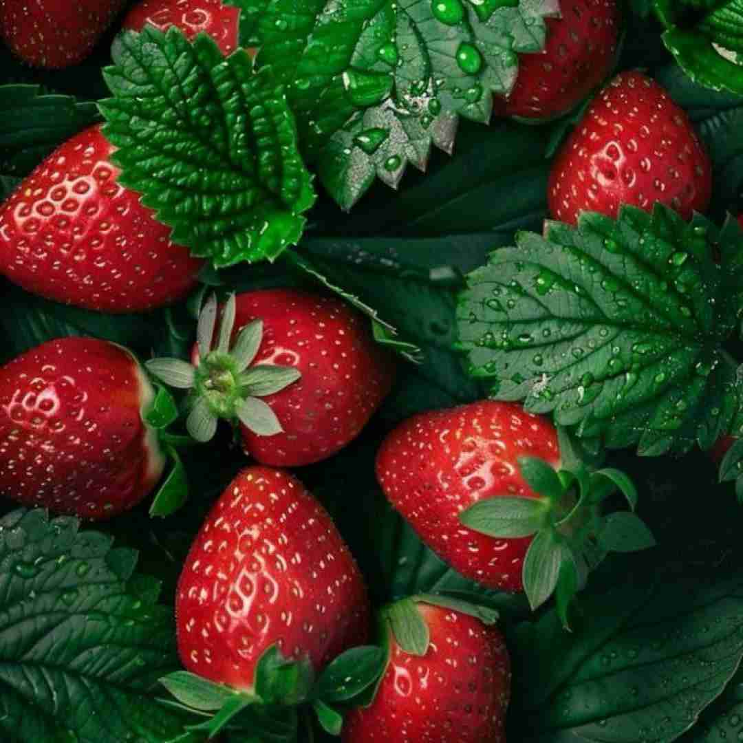  نه نای موندن هست نه پای رفتن نه چیزی دیگه (ترند اینستایی)