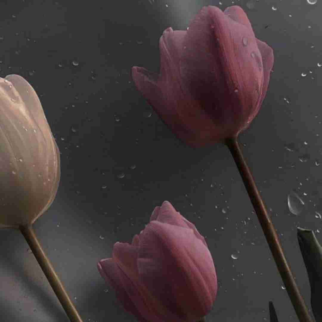  نگفت که چشه آخر رابطمون نشد که بشه