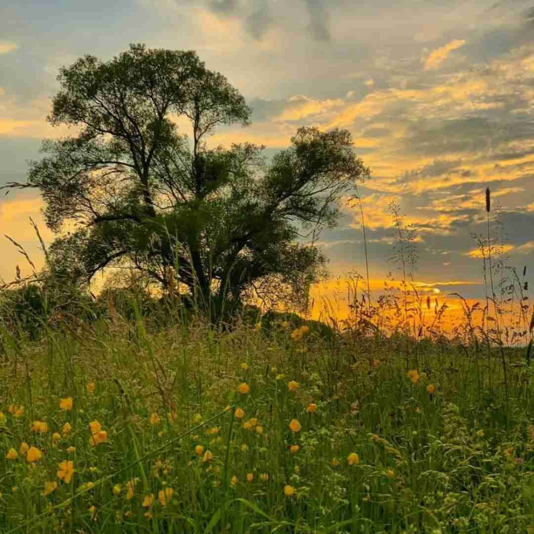 خون توی رگ های منی تو جای چشمای منی - هوش مصنوعی