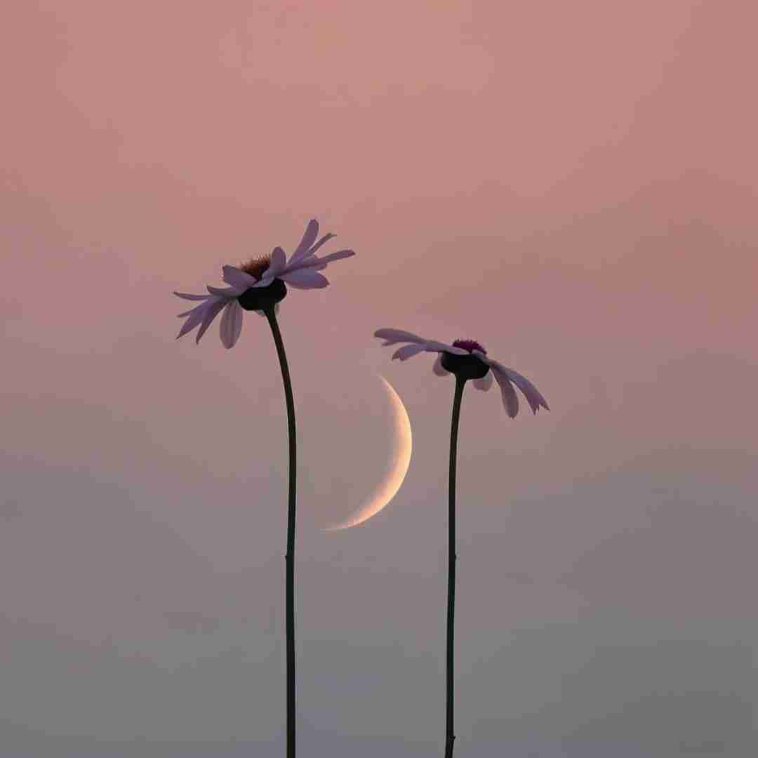 فاطمه عطایی زندگی