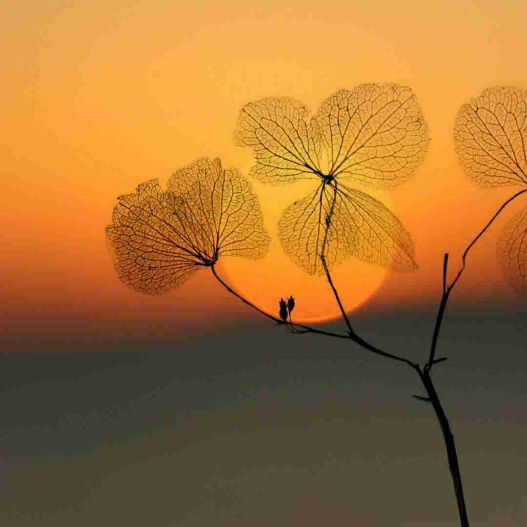 گریه کن برام نوبتته الان من گریه کردم با صدای دختر