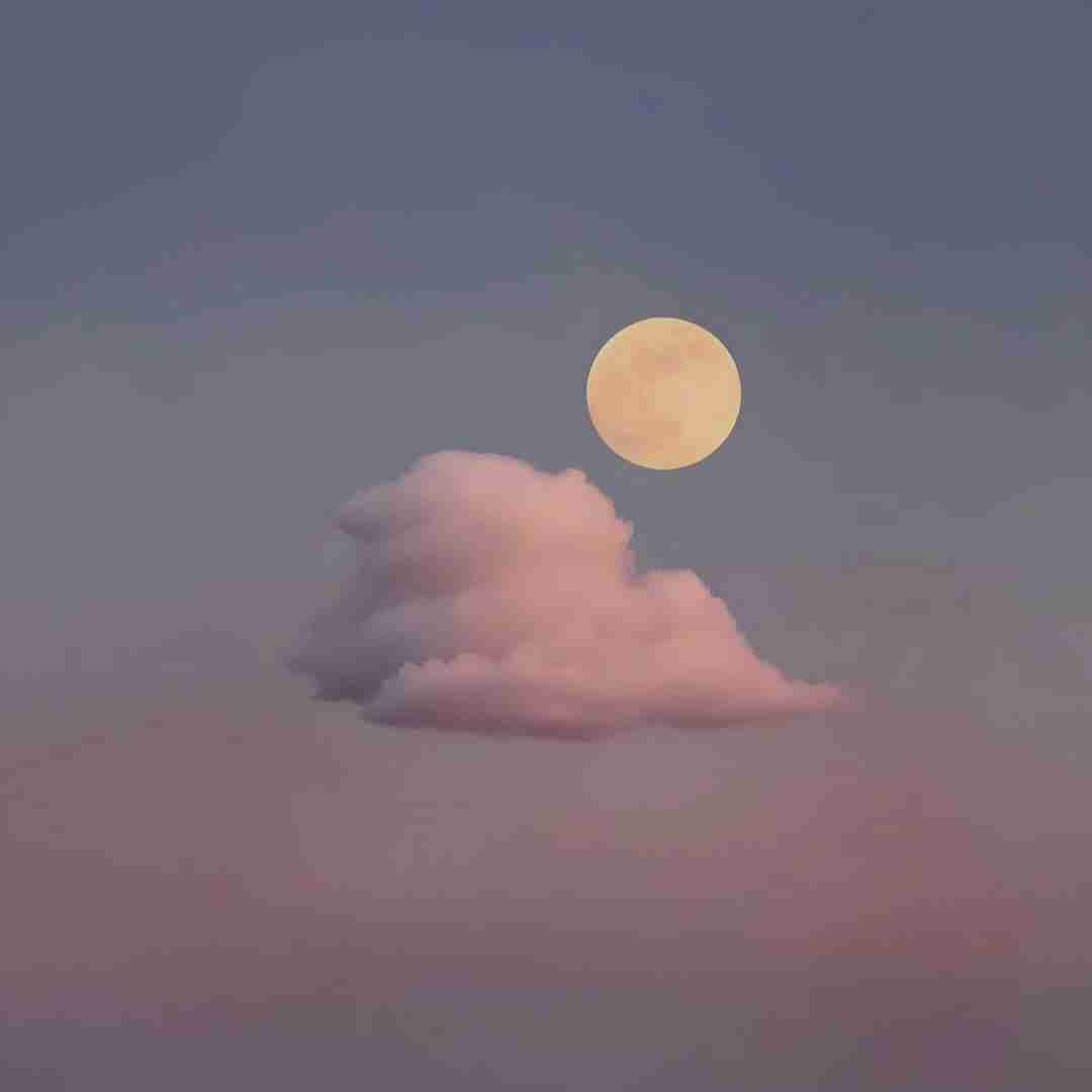  دیر فهمیدم همش دروغه دیر فهمیدم همش بهونه