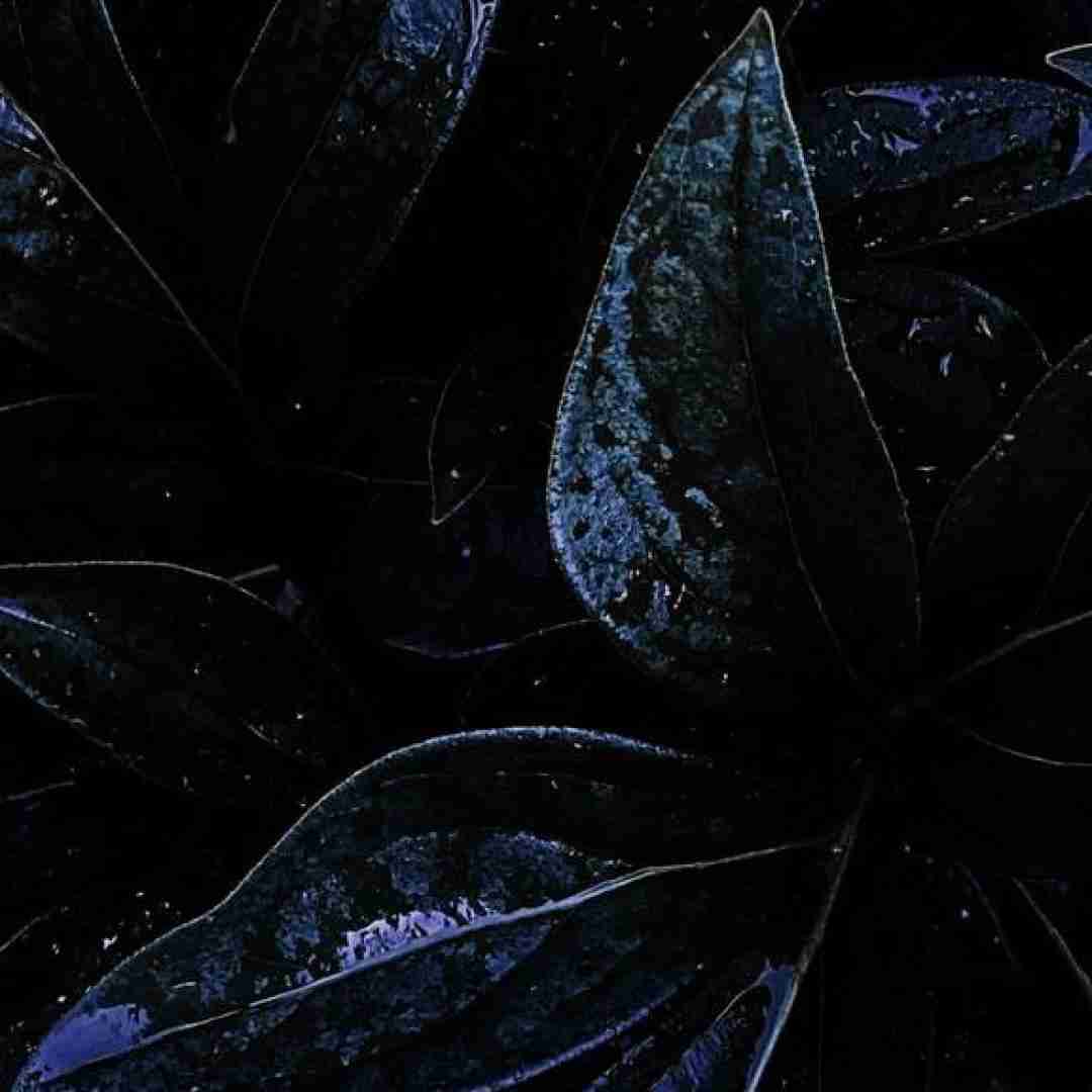  به من نگو دوست دارم که باورم نمیشه با صدای دختر
