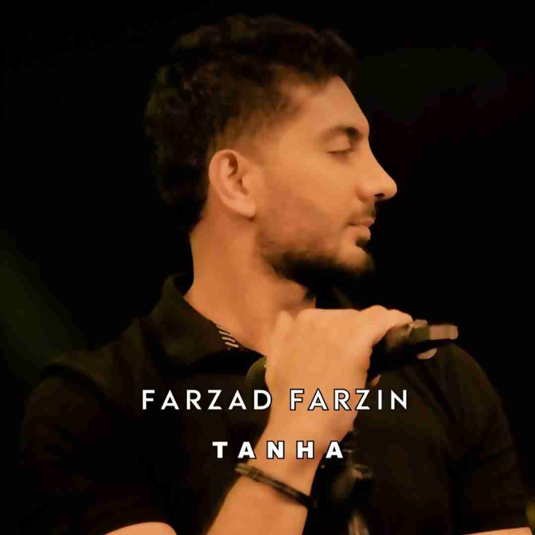 فرزاد فرزین تنها
