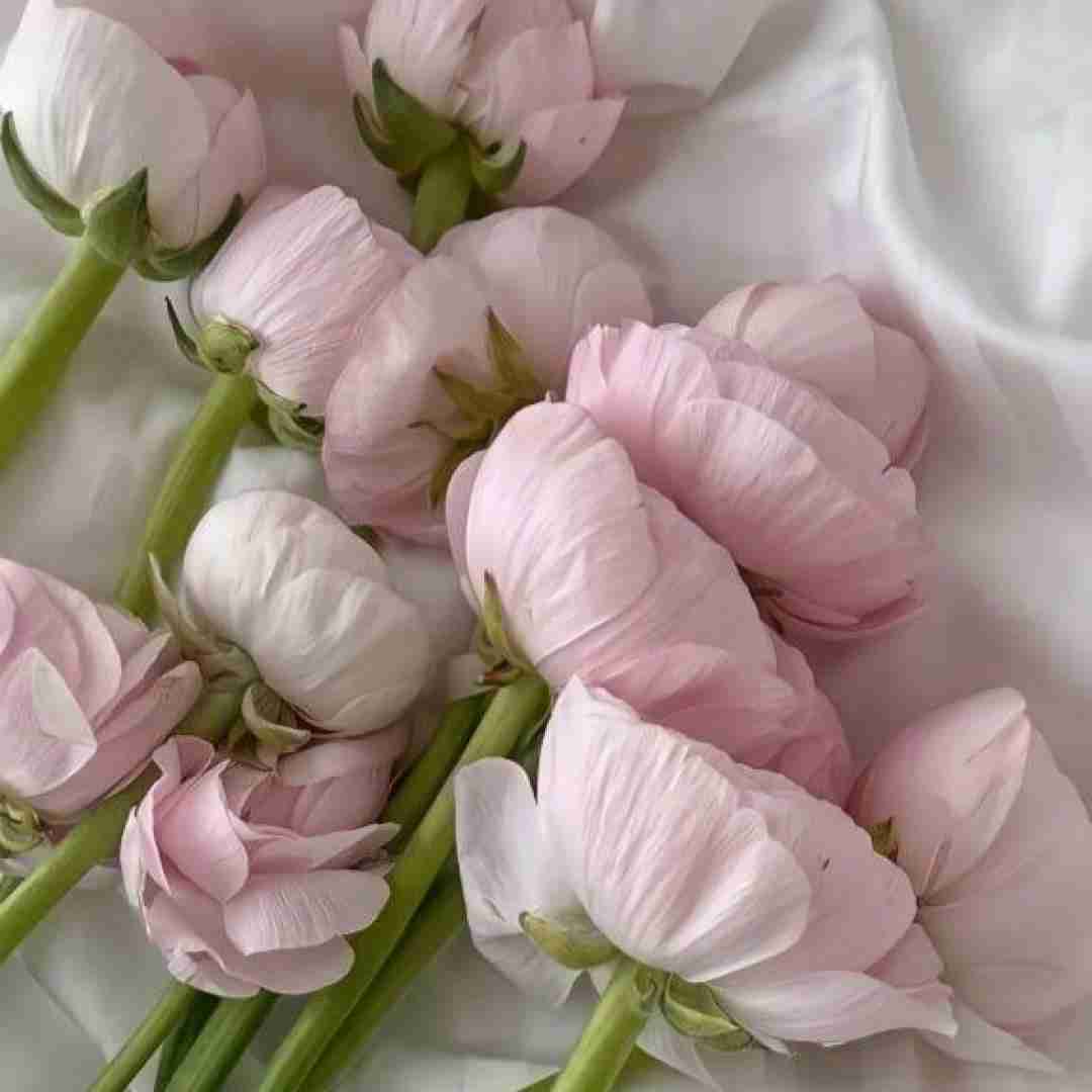  میگن که چرا تو رابطه نمیری چون هنوز دوست دارم اکسمو