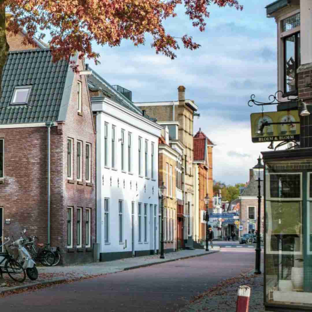 دیگه به ندرت میکشم از خلوت بیرون