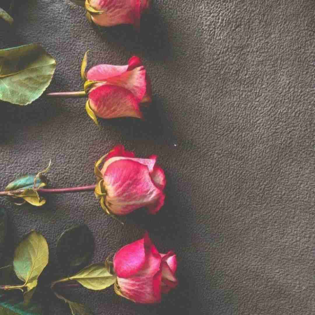  انگار ادلم اسمشت میکنم امضا پدلم