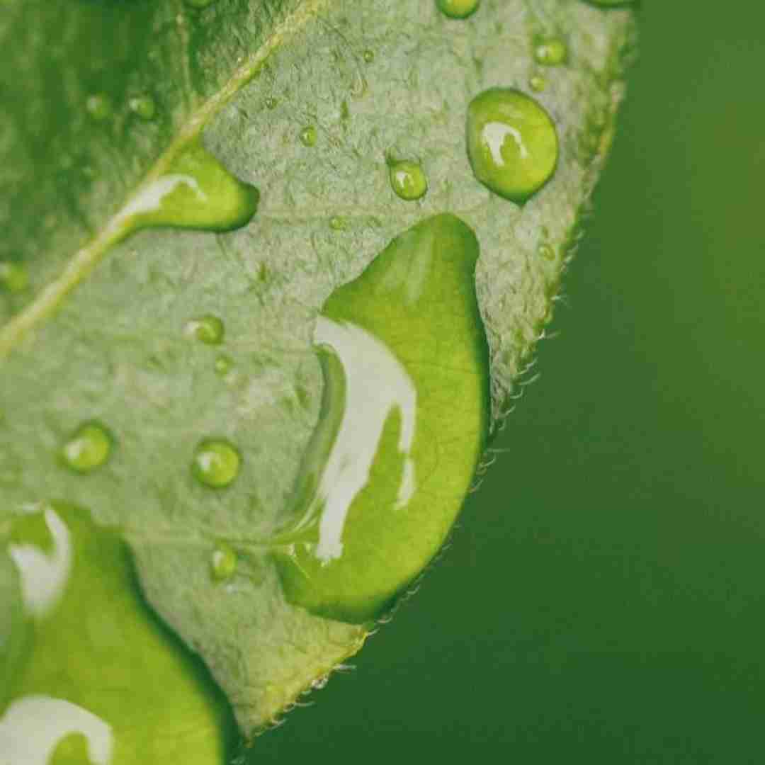  چرا دیگه راحت نمیزاری منو منو آینه چند وقته