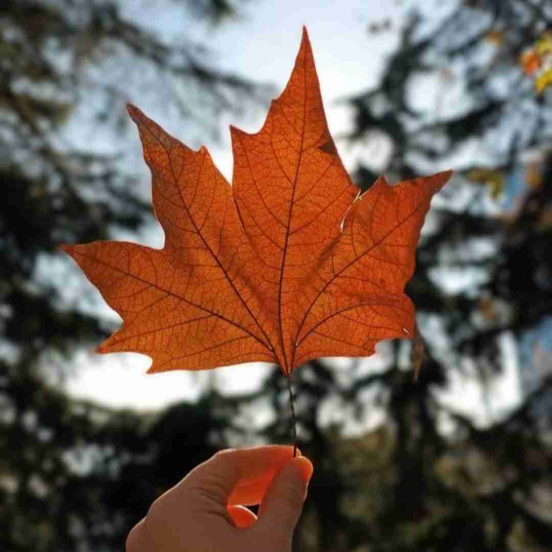دشی حالا گوش کن اکس قشنگم حس قشنگم
