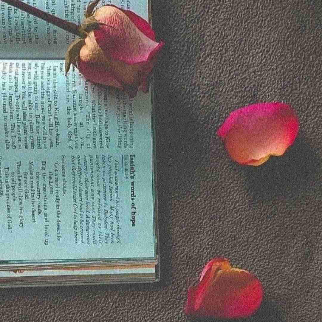 فاطمه عطایی غریبی دکتمه