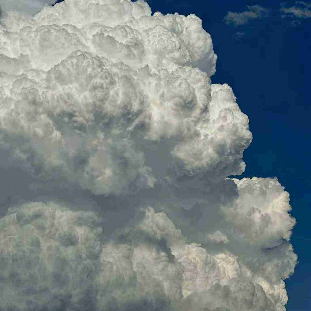  سر عشق اولم شدم بد سوژه سگ توله میبرد منو