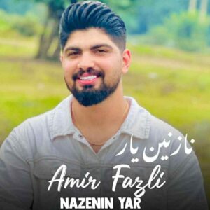 دانلود آهنگ نازنین یار از امیر فضلی