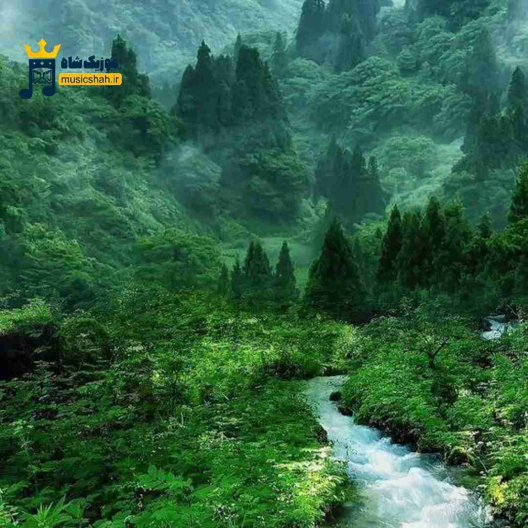 یعنی الان کجای این شهری چطوری از غریبه ها غریبه تر