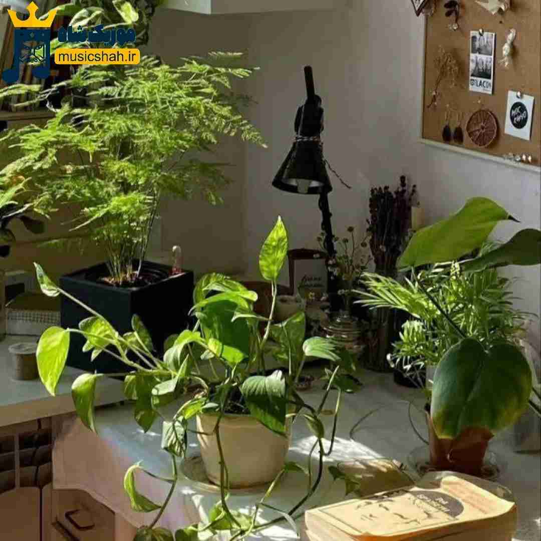 دلت تنگه واسه قبلا میگی بسه باشه برگرد