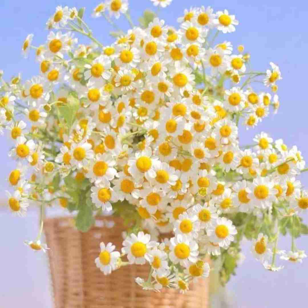  کاش بزنه صبح شه فکر به تو گم شه حرفات هوش مصنوعی