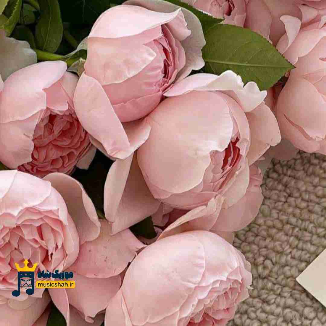 میگن رفتنی میره میگم این راهو این جاده دراز