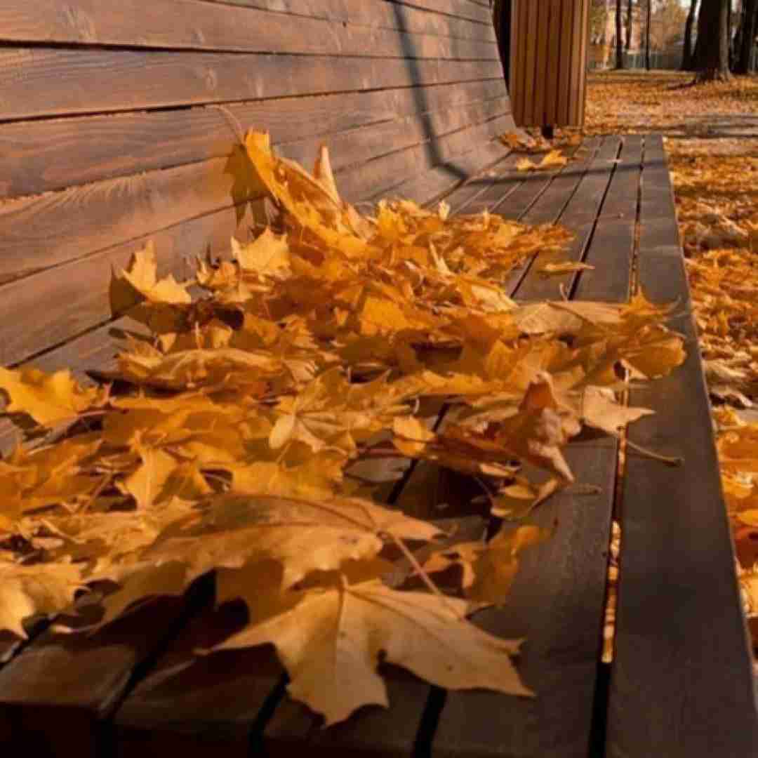 ماهک و امید جهان تو و ناز اومدی