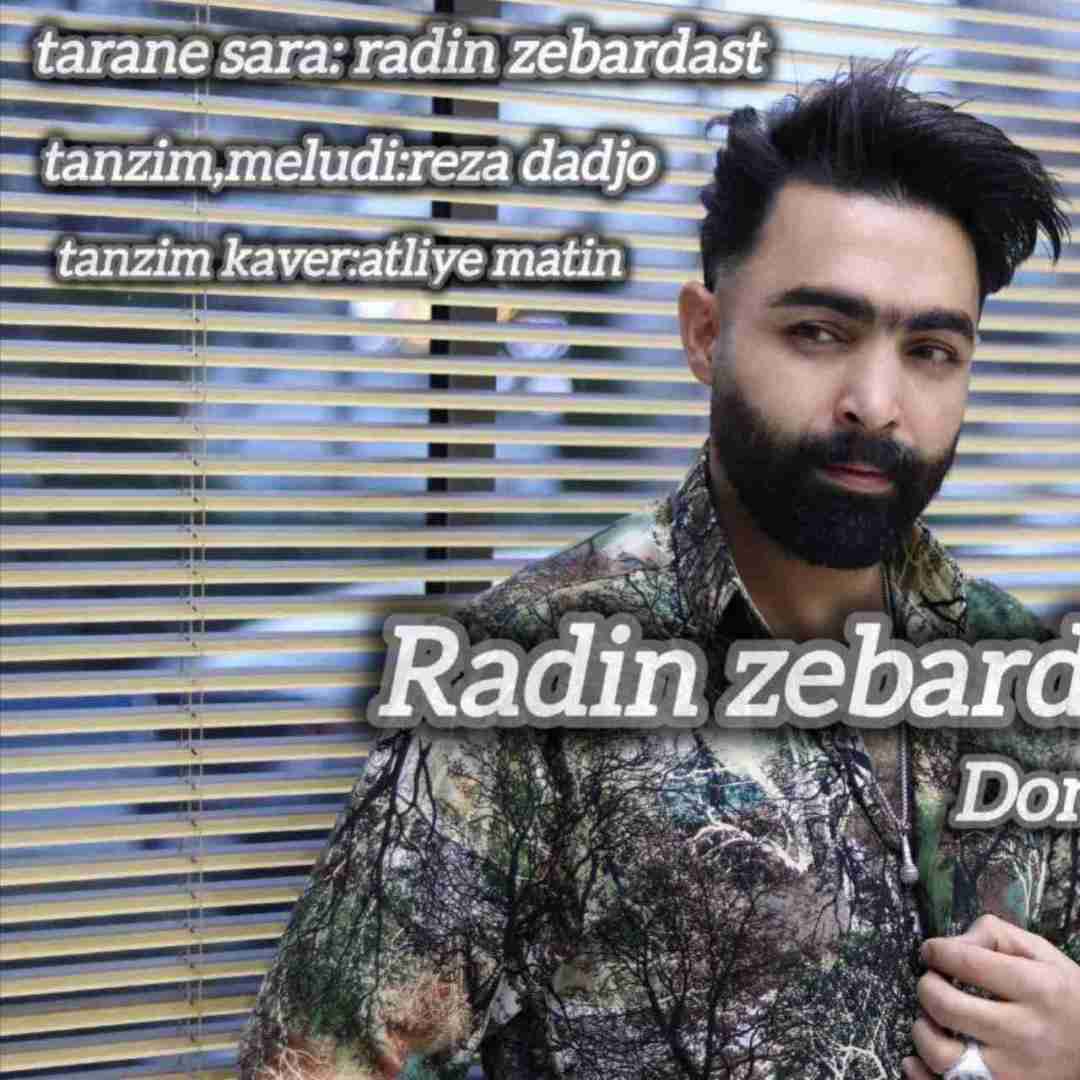دانلود آهنگ دنیای منی تو از رادین‌ زبردست