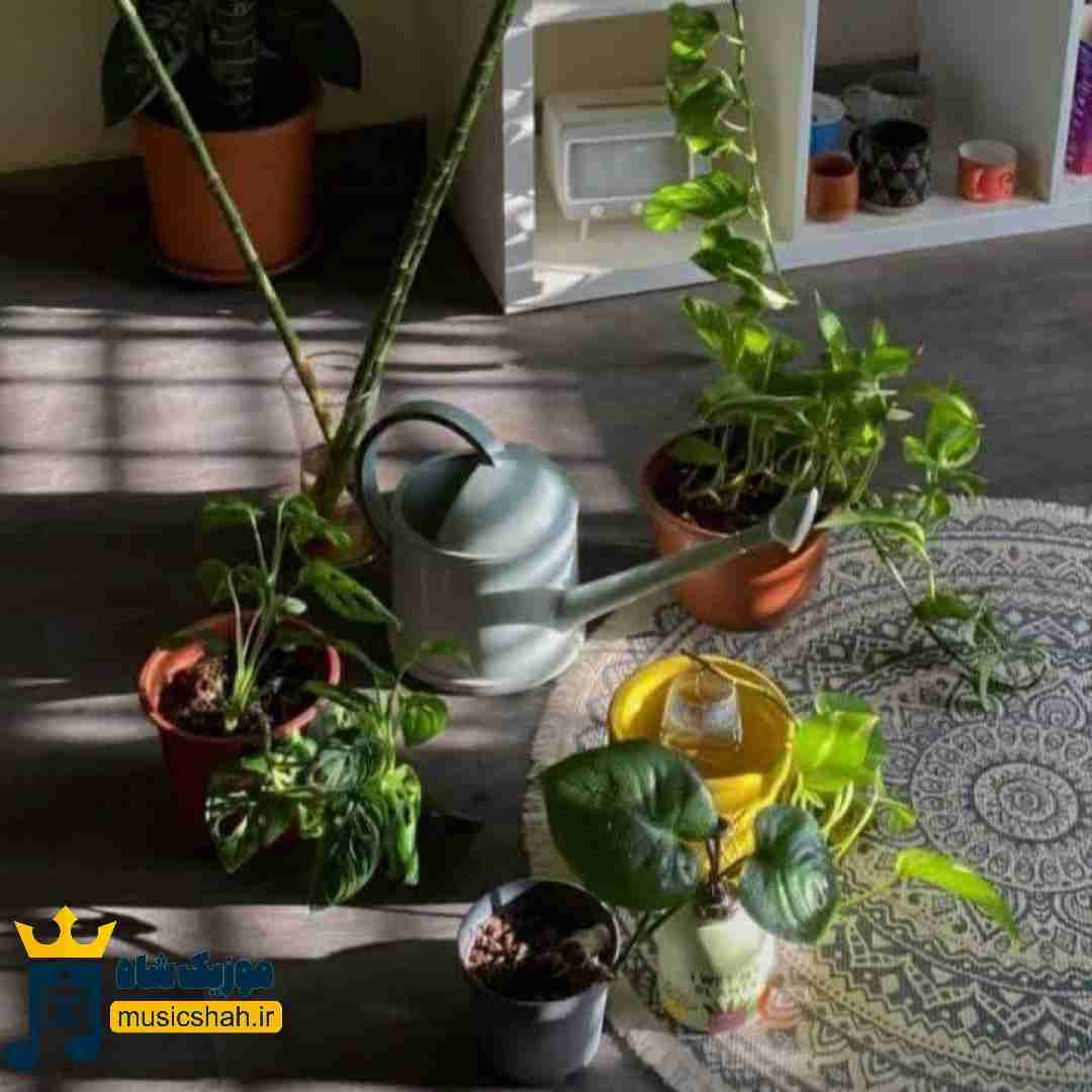 اوف عجب چشایی با تو می ارزه حتی