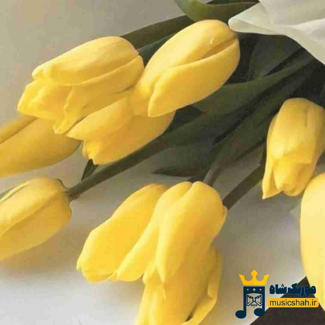 دارم میدم حال بدمو جلوه عادی این شبو کردی