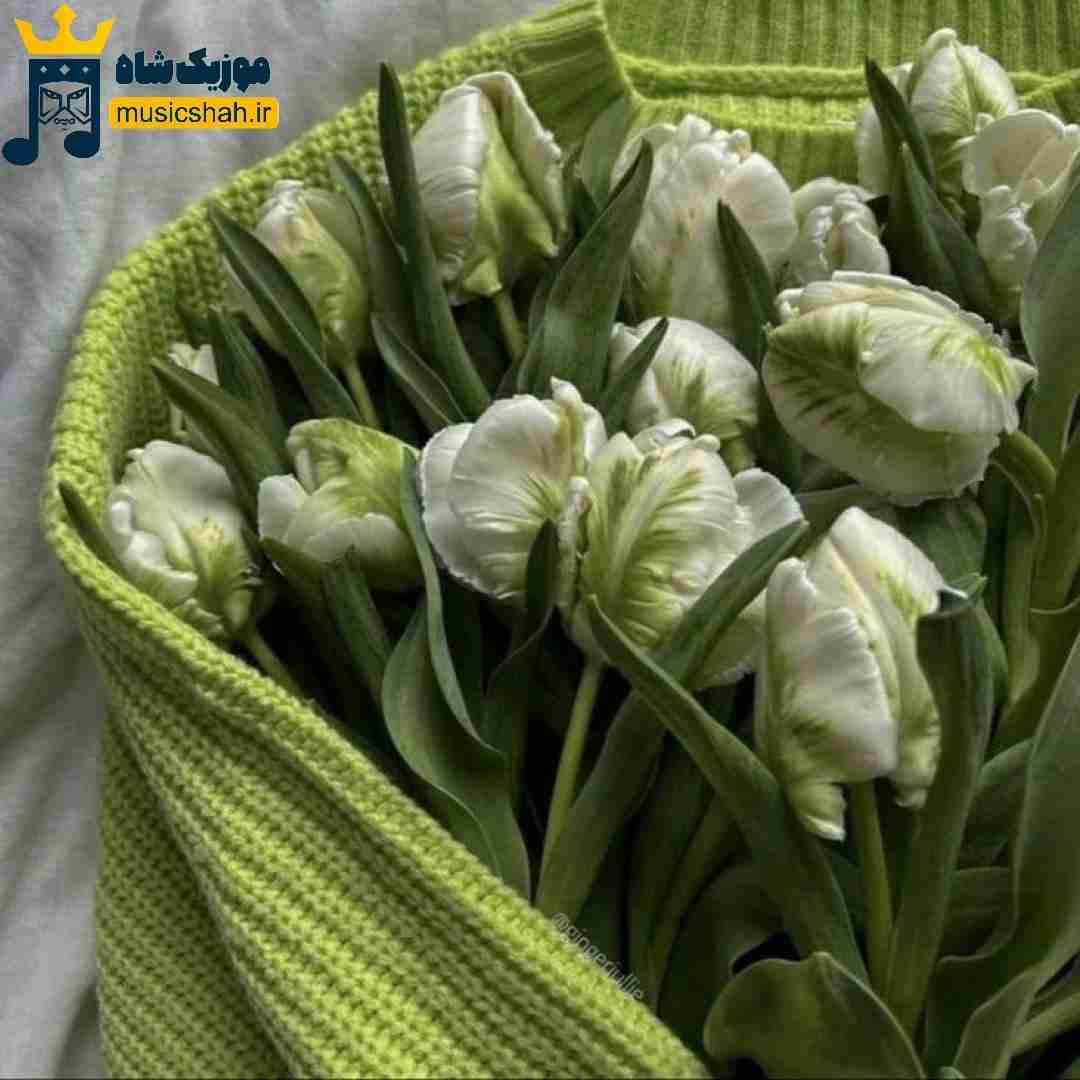 هر سفر سختی خوبه با تو هرکس به تمنای کسی (میکس اینستایی)