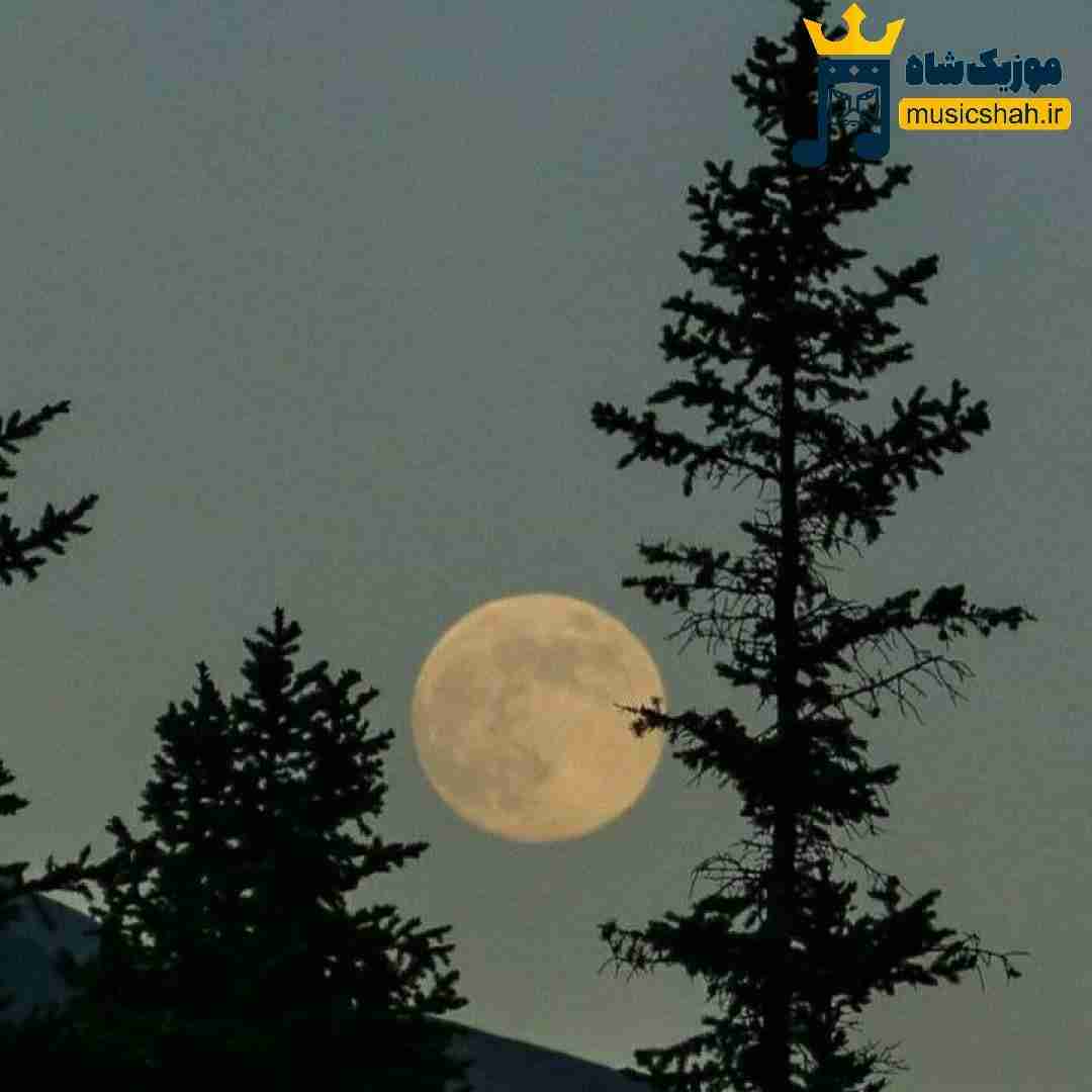 ماهک گل سیرمه کشی دو چشم کاله
