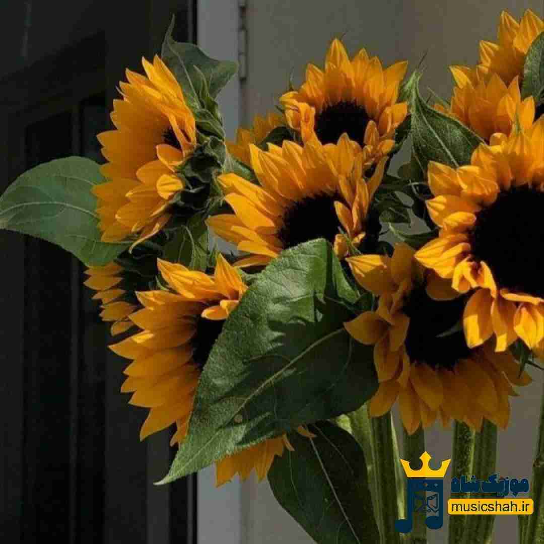 دوباره نیستی الکل رفیقم شده وقتی دوباره