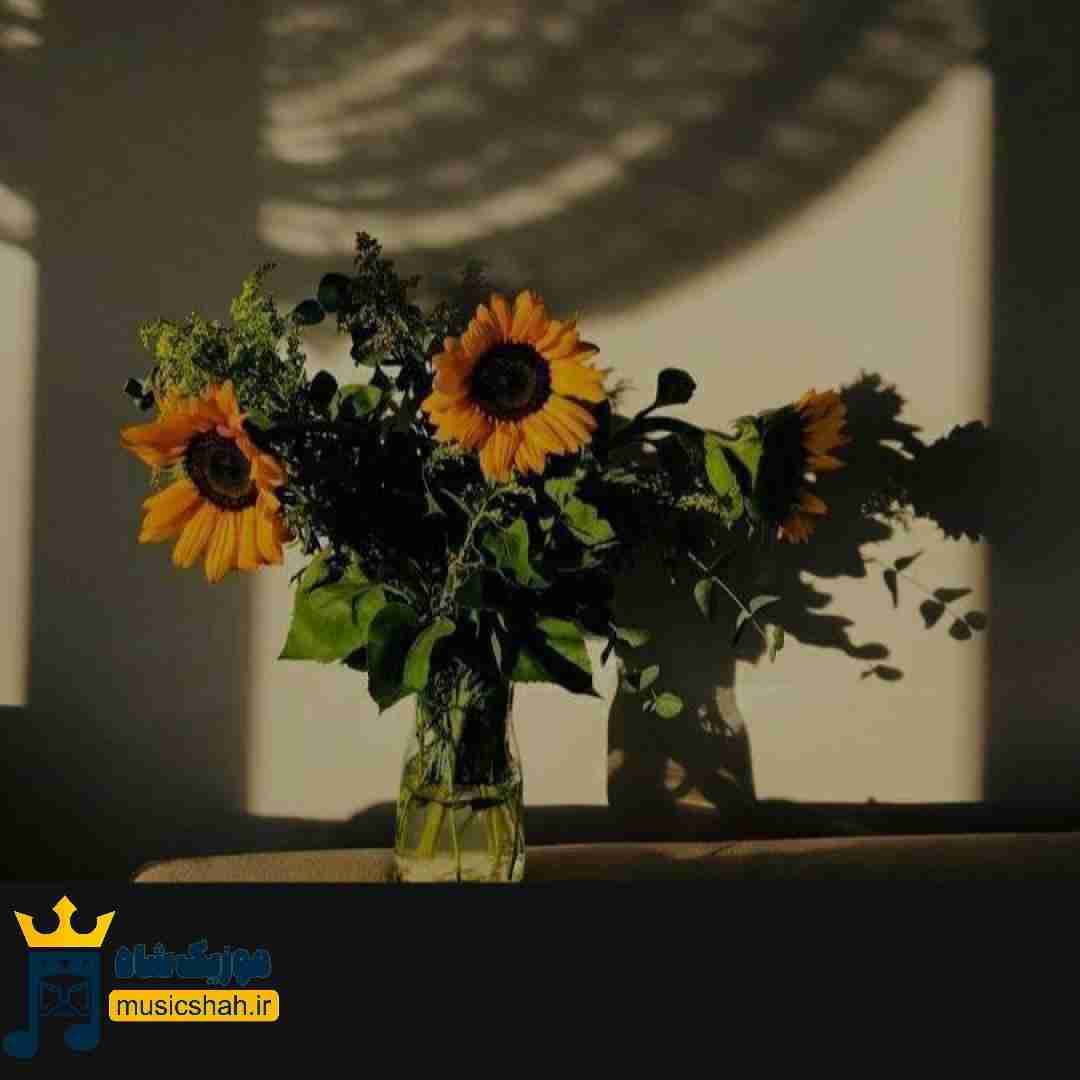 فازه راننده میشم یهو بیب بیب بعدش دیجی میشم