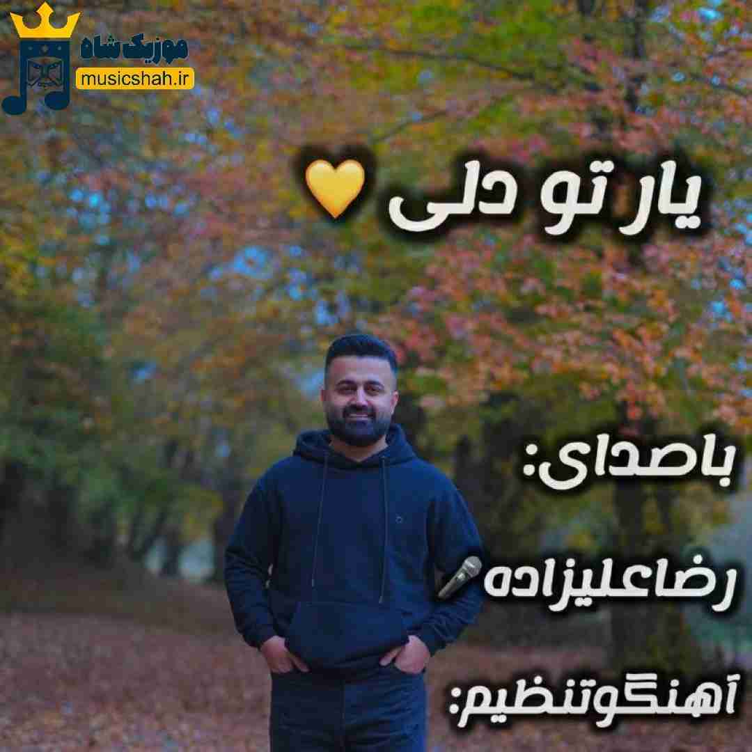 رضا علیزاده یار تو دلی
