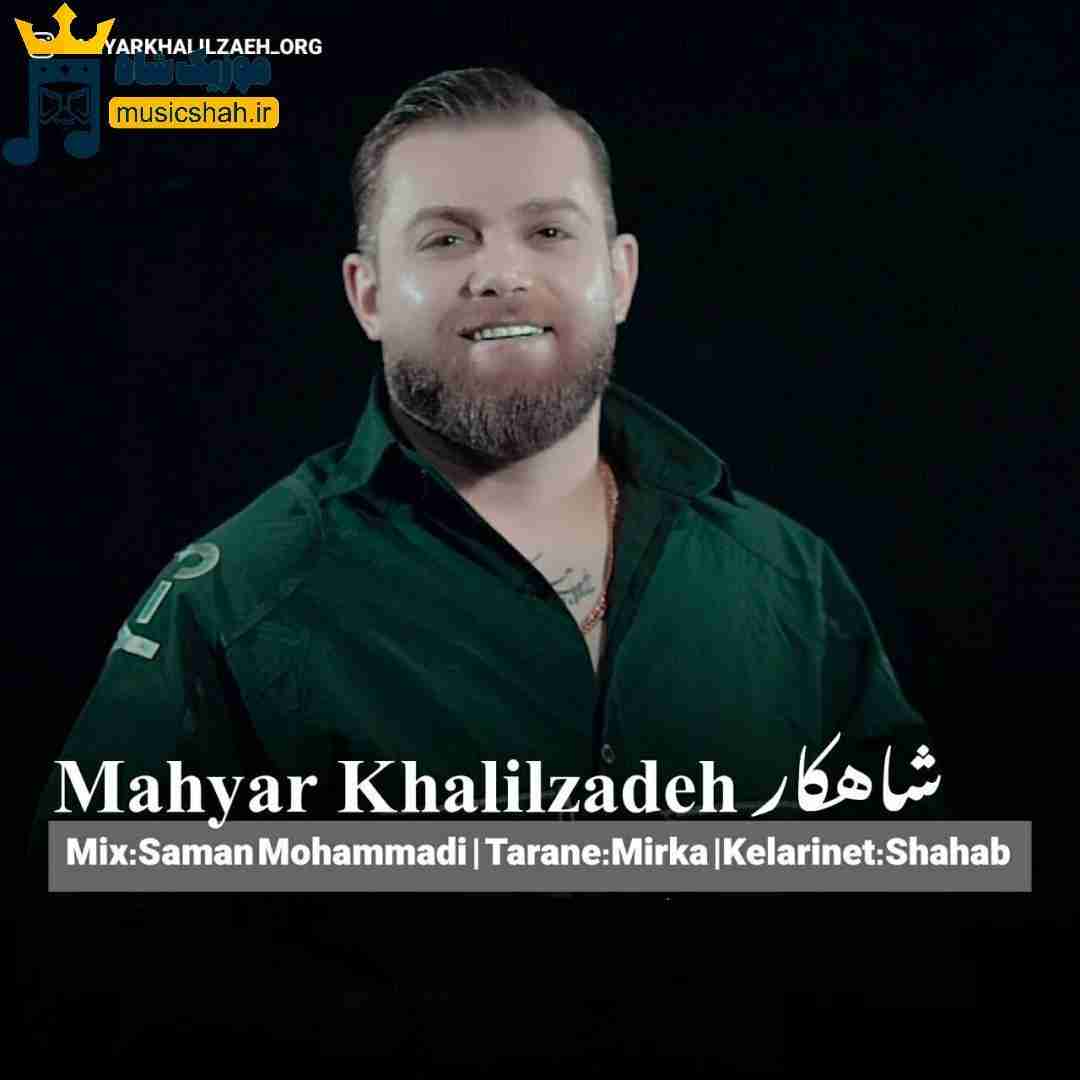 مهیار خلیل زاده شاهکار
