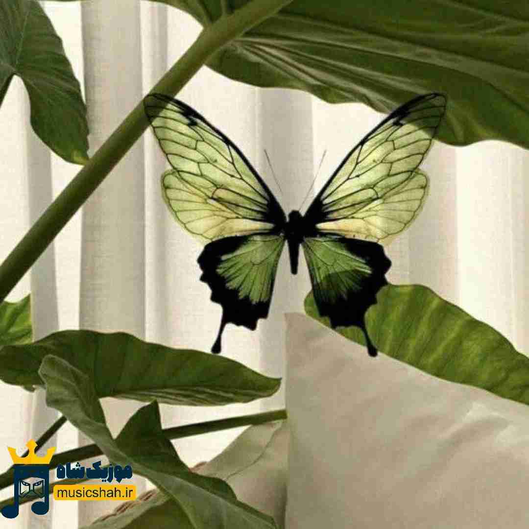  میشدم چند نفر واسه تو یدونه کاش میشد بمونه
