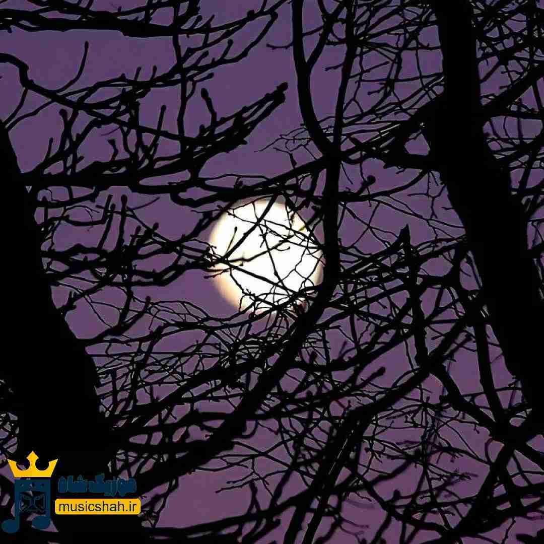 چرا با لاشی بودنت حرصمو درش میاری