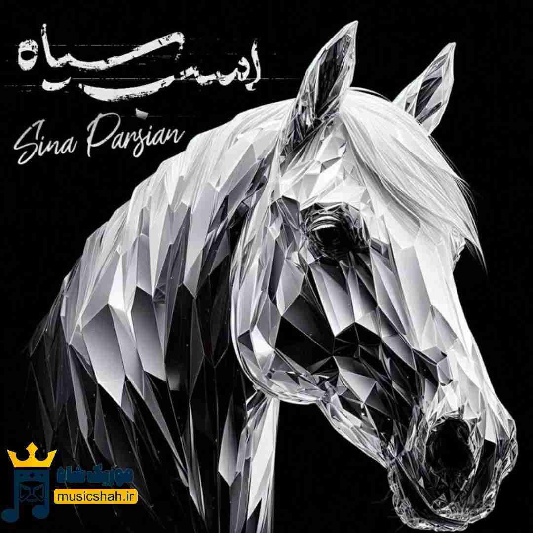 سینا پارسیان اسب سیاه