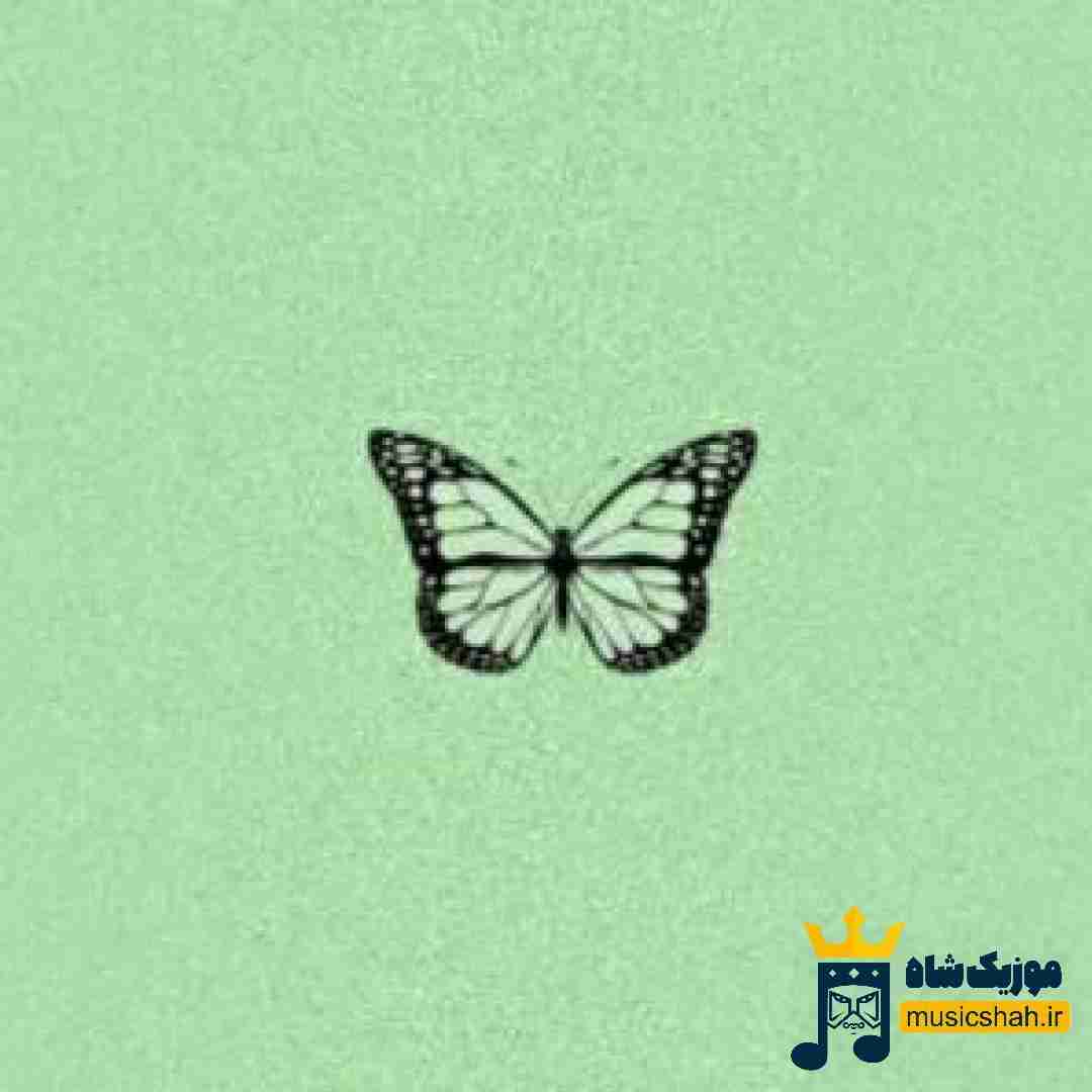 تویی که با من هم صدایی تو رفیقی تو (میکس اینستایی)