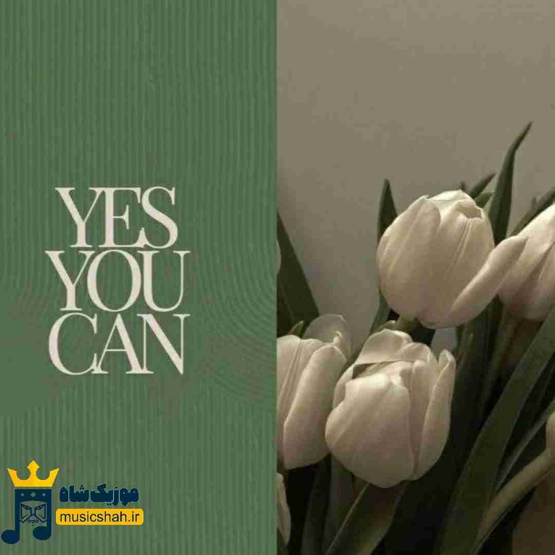 تکست نمیدم بگم دلم تنگه چون میدونم چیه
