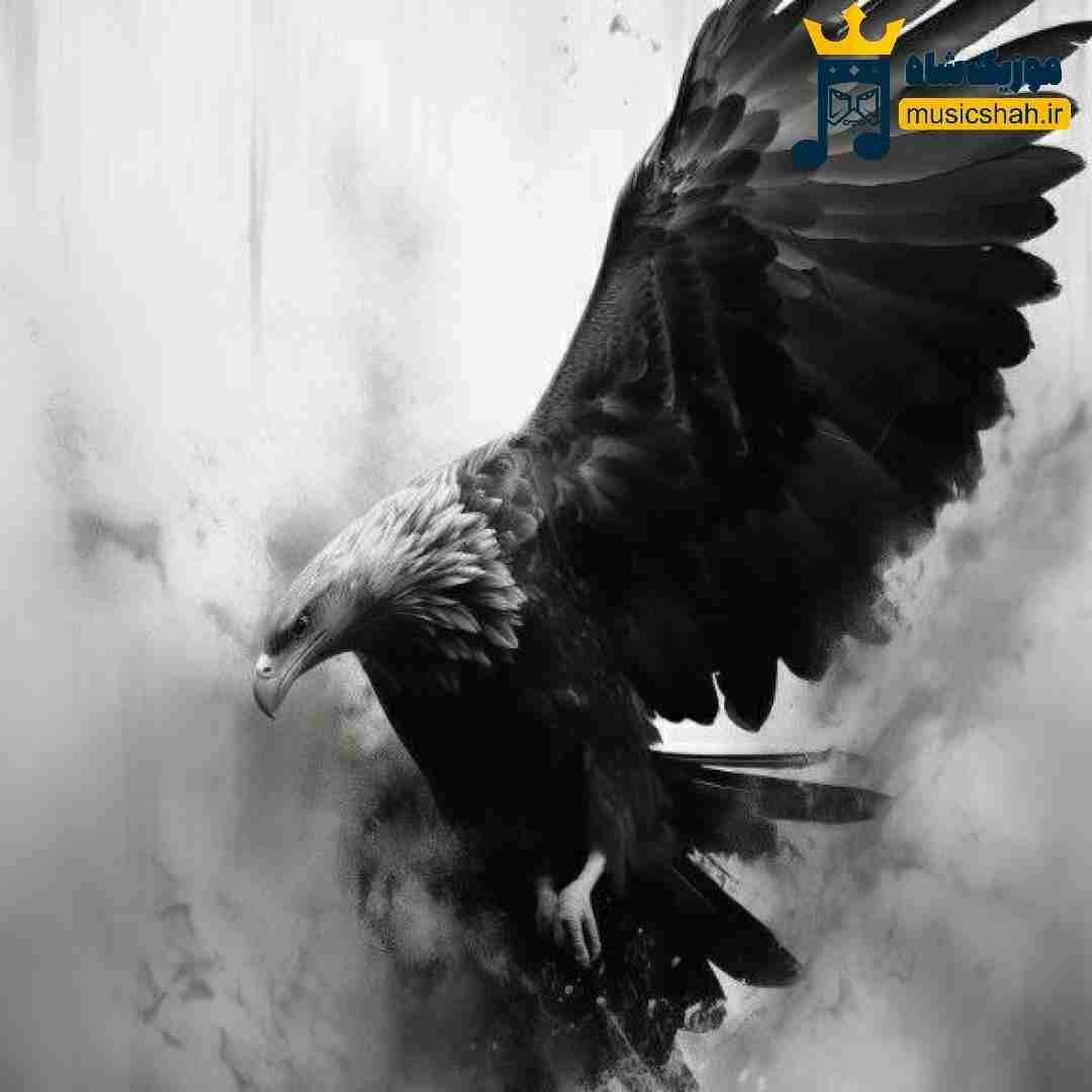 پیدا کنم کجا بگو شبیه تو به هر دری بگی زدم