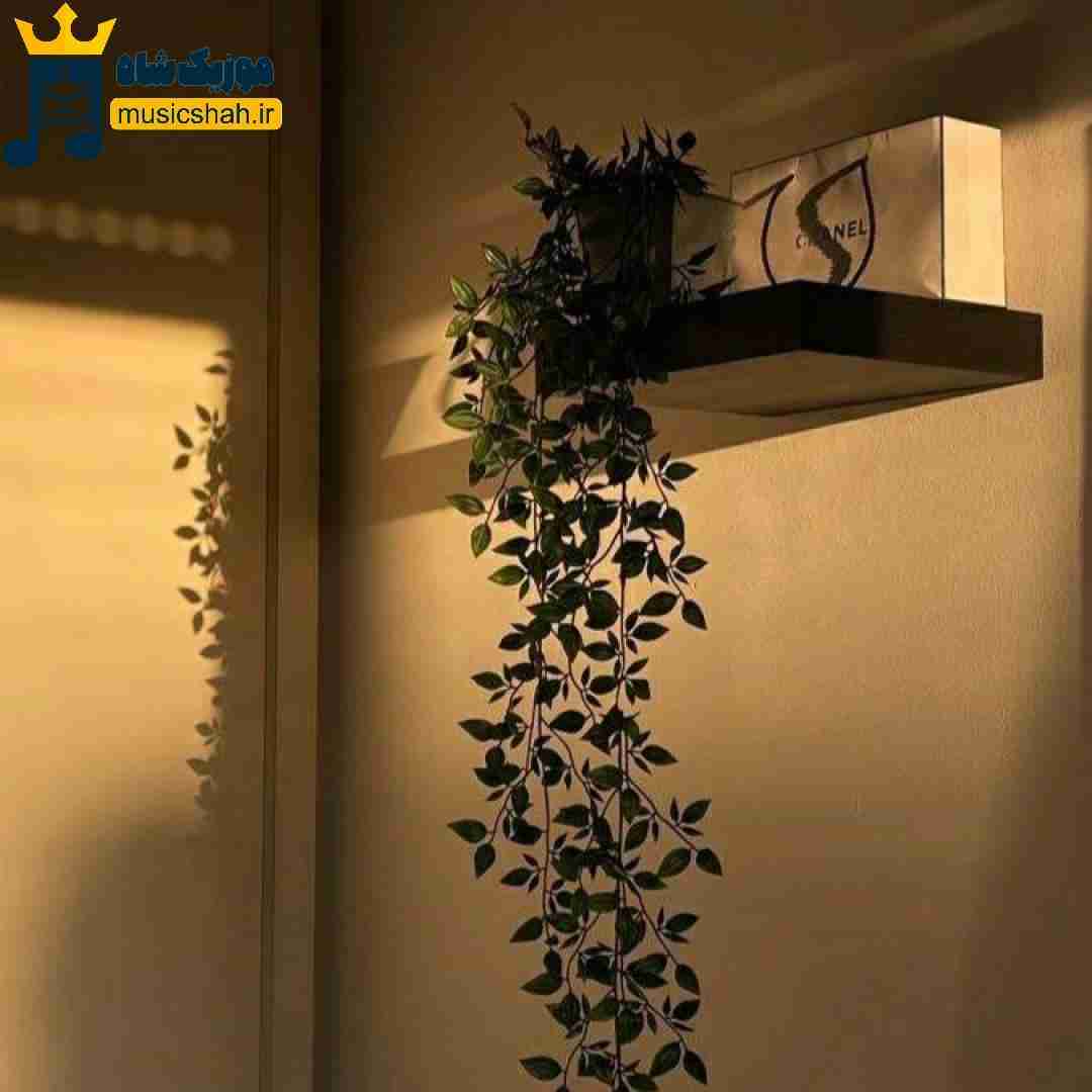فاطمه عطایی مه جان مار