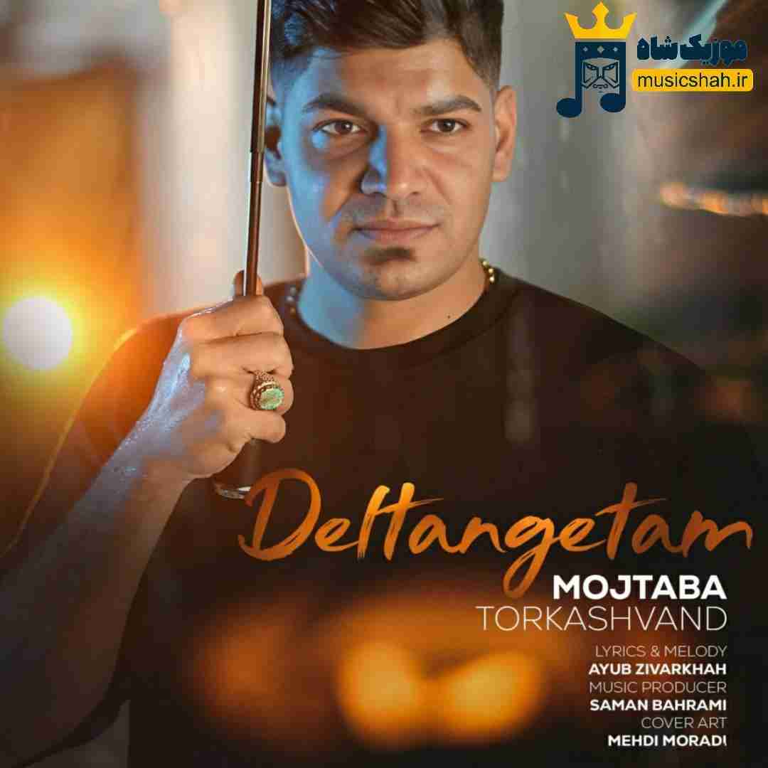 مجتبی ترکاشوند دلتنگتم