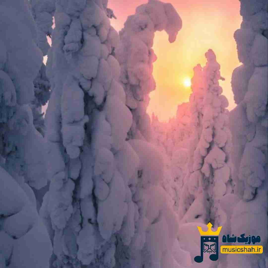  واسه دیدن فیستو میپیچم کل شهرو من