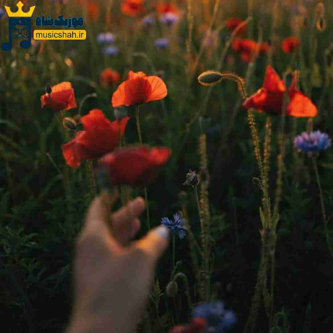 دیارا لیلا