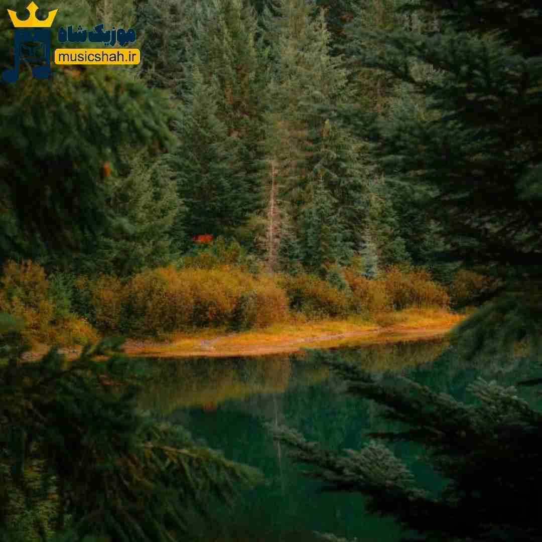 امروز اولین صبح بدون توعه کاشکی هیچ وقت نمیشدم بیدار