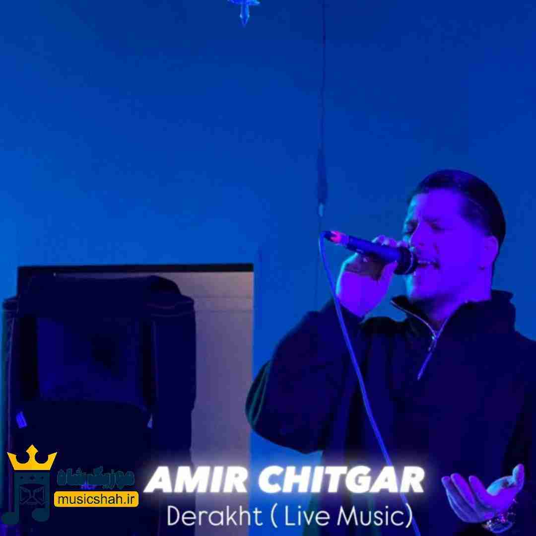 امیر چیتگر درخت