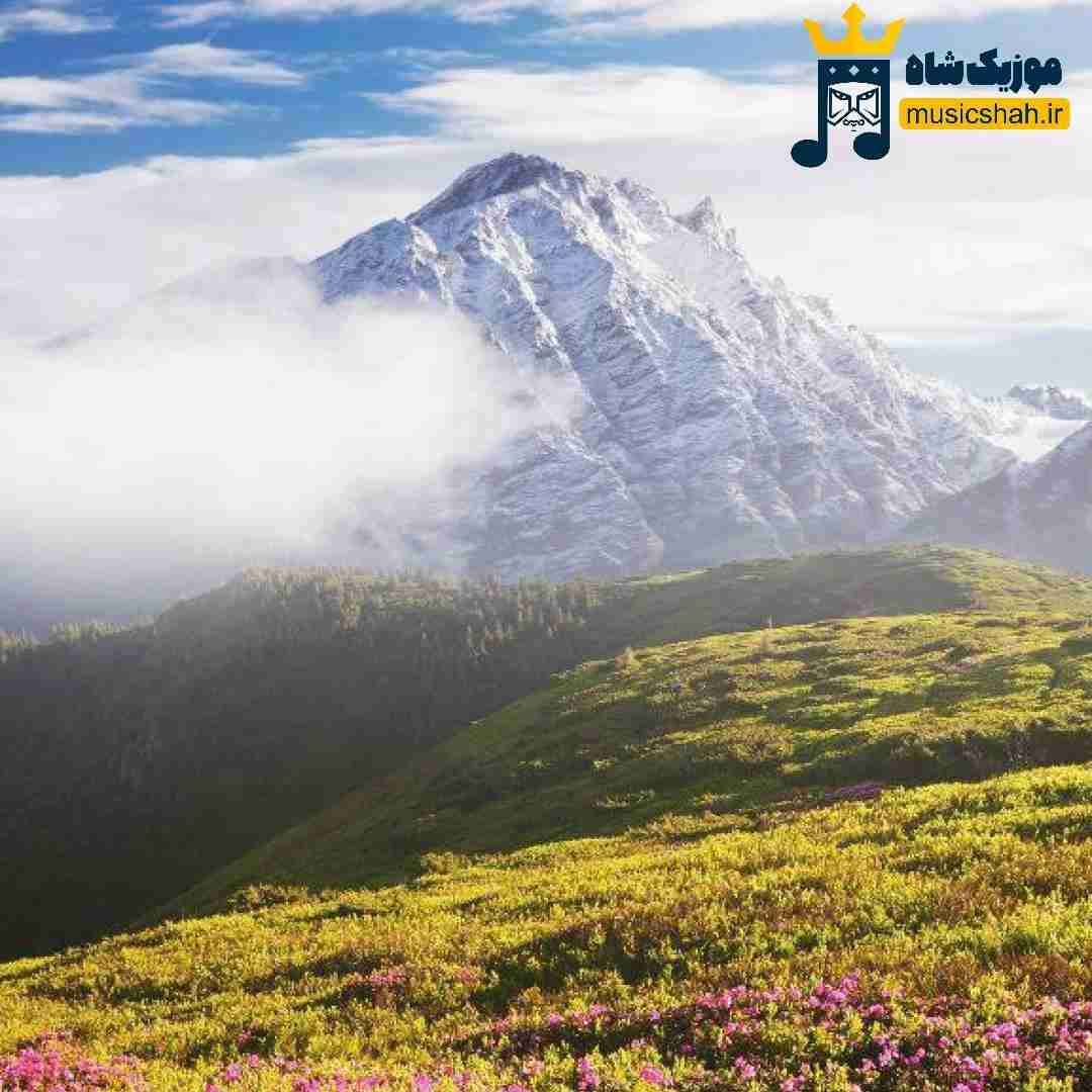 ستایش صادق زاده گل بختیاری